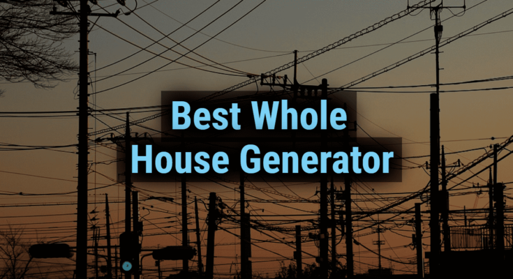 Best Whole House Generator